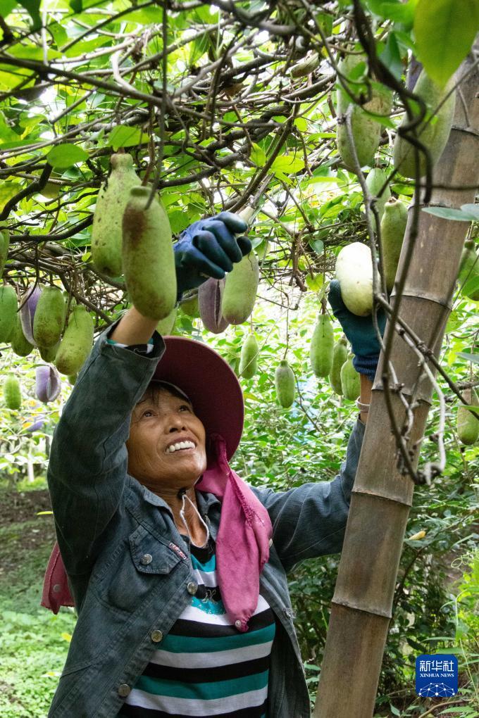 大奖网彩票触屏版本